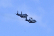 image0528