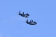 image0529