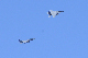 image0531