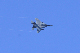image0584