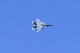 image0585