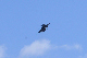 image0590