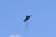 image0591