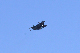 image0594