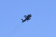 image0595
