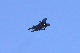 image0596