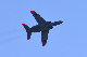 image0647