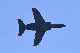 image0650