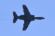 image0651