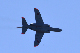 image0652
