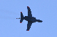 image0653