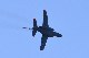 image0654