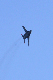 image0666