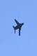 image0667