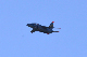 image0688