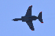 image0693