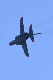 image0695