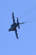image0696