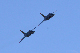 image0728