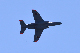 image0740