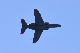 image0741