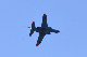 image0743