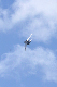 image0753