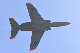 image0760