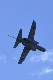 image0763