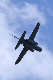 image0764