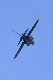 image0766