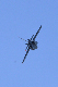 image0767