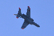 image0788