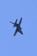 image0791