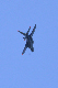 image0792