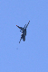 image0793