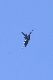 image0794