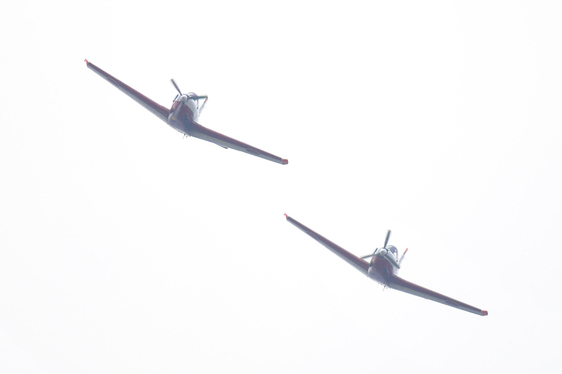 image0509