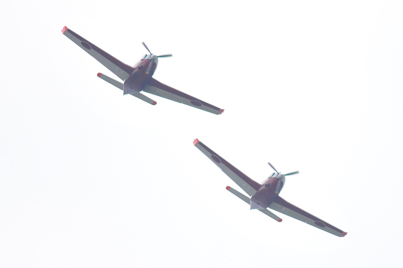 image0512