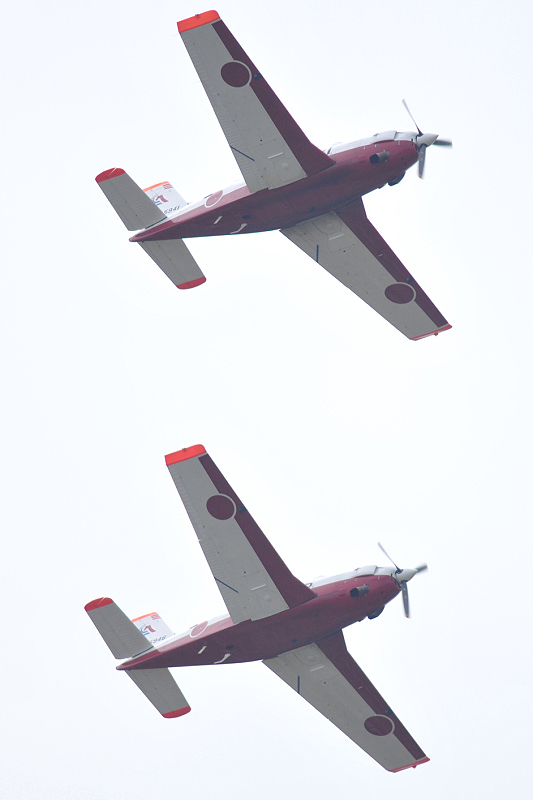 image0517