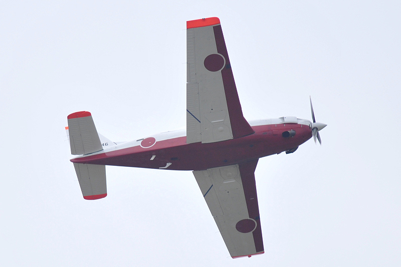 image0519