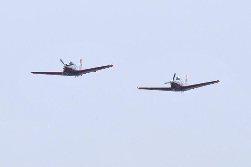 image0617