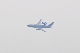 image0274