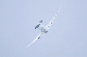 image0289