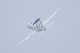image0292
