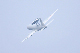 image0293