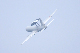image0294