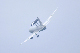 image0395