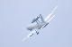 image0397