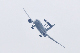 image0417